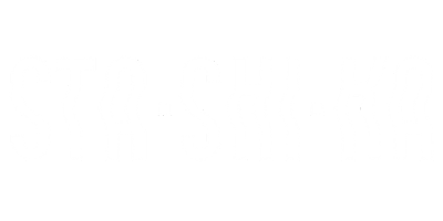 logo stashika, projektantka ubrań, stylistka